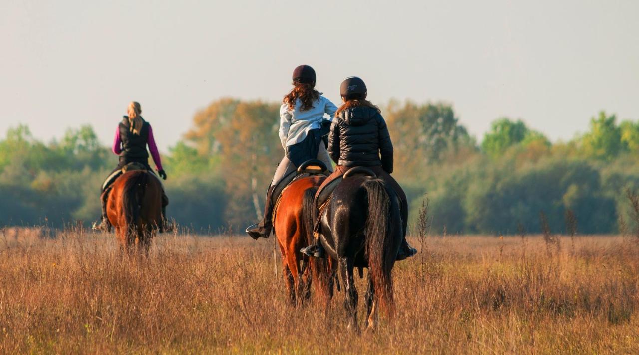 Homoki Lodge Bed & Beyond Glamping (Adults Only) Ruzsa Buitenkant foto